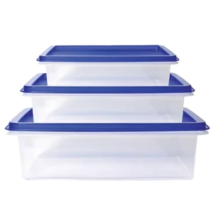 Freeze Box Food Container (Set of 3)